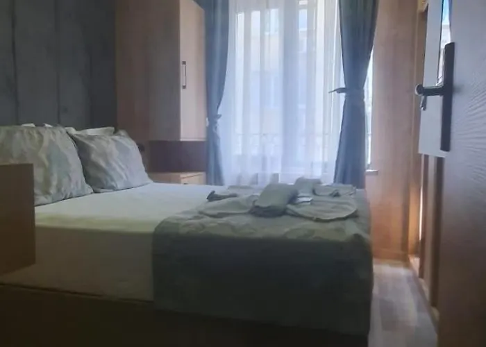 Отель Grand Esen 3*