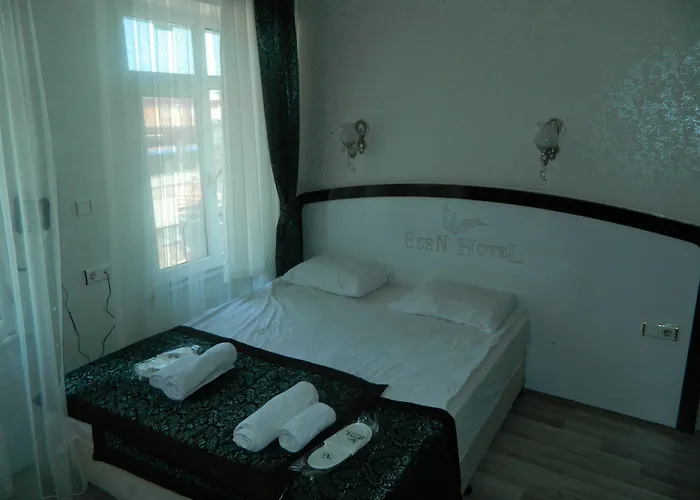 Grand Esen Hotel 3*